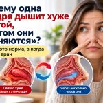Почему одна ноздря дышит хуже другой, а потом они «меняются»: когда это норма