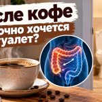 Почему после кофе срочно хочется в туалет: что известно о гастроколическом рефлексе