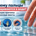 Почему пальцы морщатся в воде: что происходит с кожей и при чем здесь нервная система